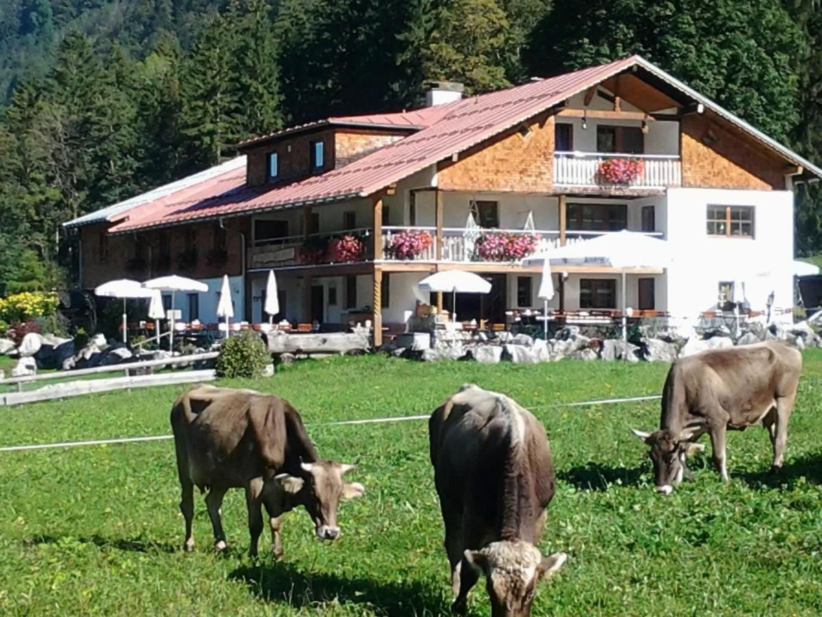 Berggasthof Riefenkopf 奥伯斯特多夫 外观 照片